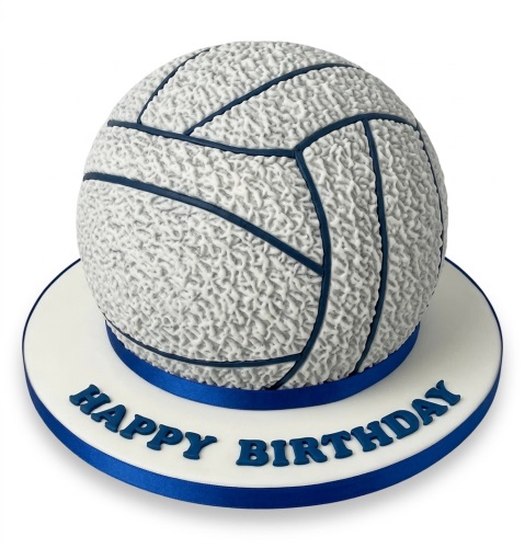 3D volleyball shaped birthday cake with blue lines and 'Happy Birthday' message on the base.