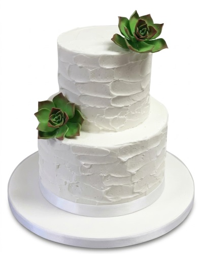 Elegant two tier white buttercream cake with green succulent decorations and a white ribbon base.