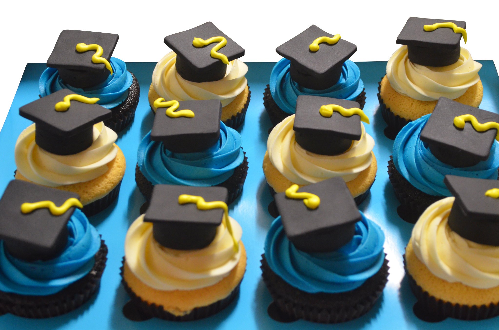 Yellow and Blue Frosting Graduation Theme Cupcakes - Pack of 6